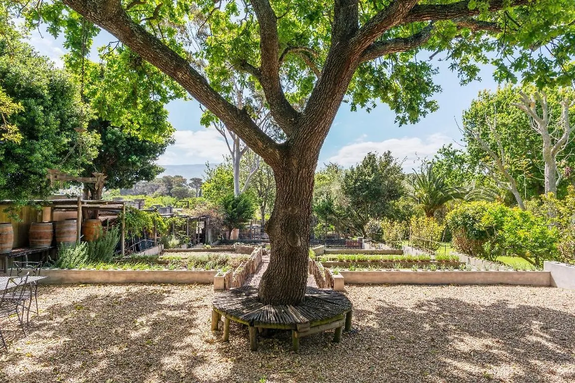 Aloe Cottage At Ibis House Le Cap